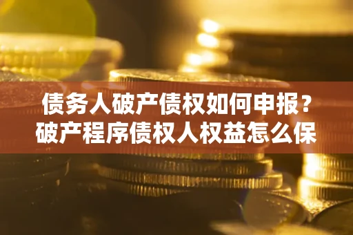 北京债务人破产债权如何申报？破产程序债权人权益怎么保障？