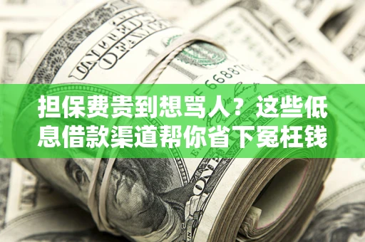 北京担保费贵到想骂人？这些低息借款渠道帮你省下冤枉钱
