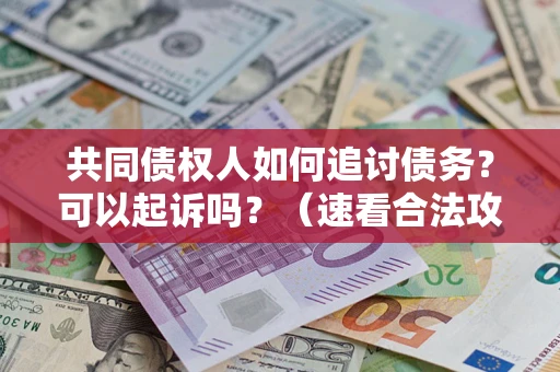 北京共同债权人如何追讨债务？可以起诉吗？（速看合法攻略）